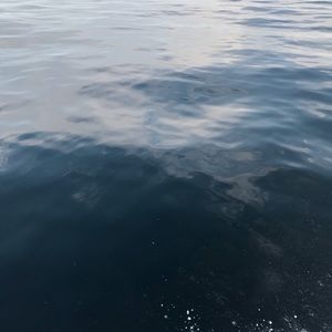 Meet your Posher, Jesse